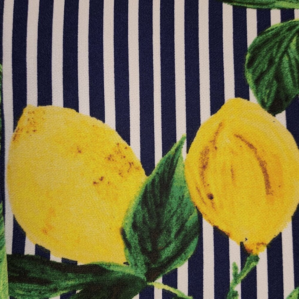 ROZ and Ali Women's Life and Lemons Print Blazer Jacket Striped Size L - Picture 5 of 8